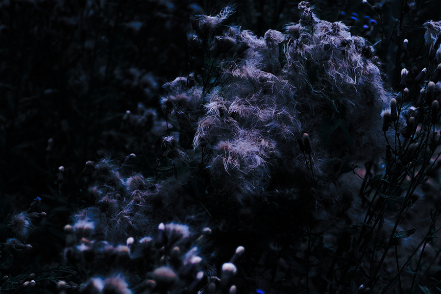 Grigory Kornilov Photographer